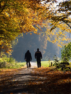 Walk & Talk Therapy